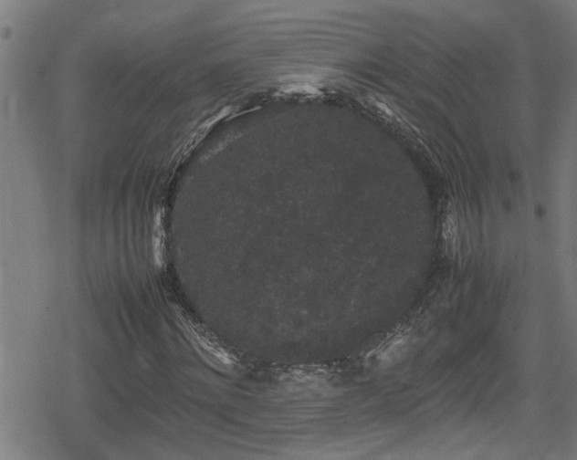 X0000078860868200611131200