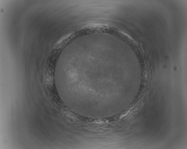 X0000078860869200611131200