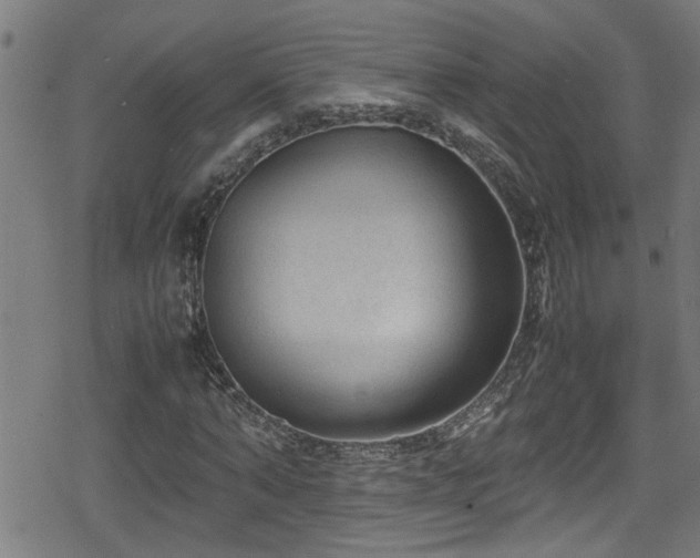 X0000078860870200611131200