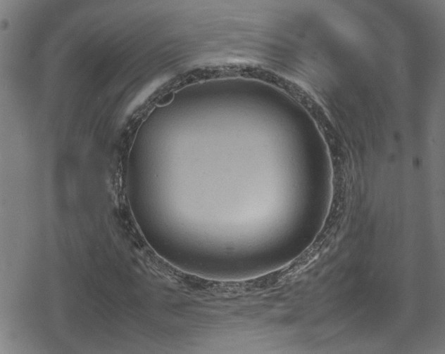 X0000078860871200611131200