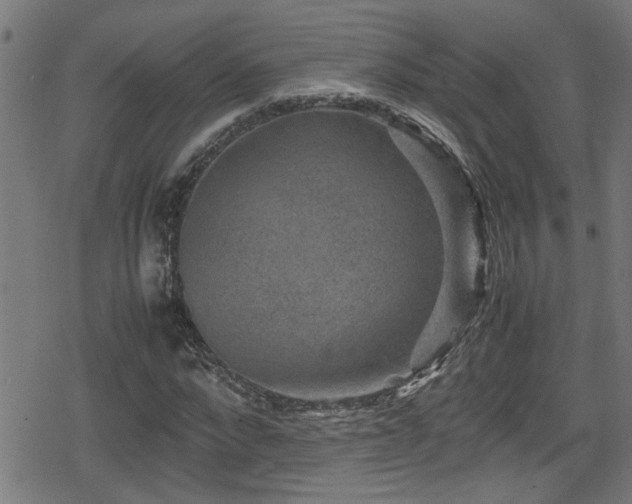 X0000078860872200611131200