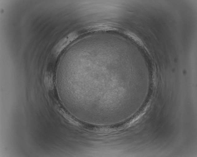 X0000078860873200611131200