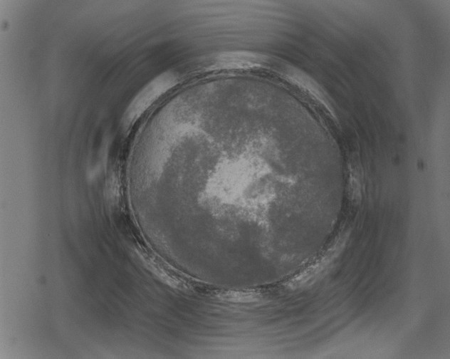 X0000078860874200611131200