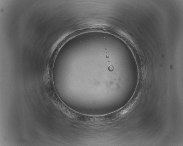 X0000078860875200611131200