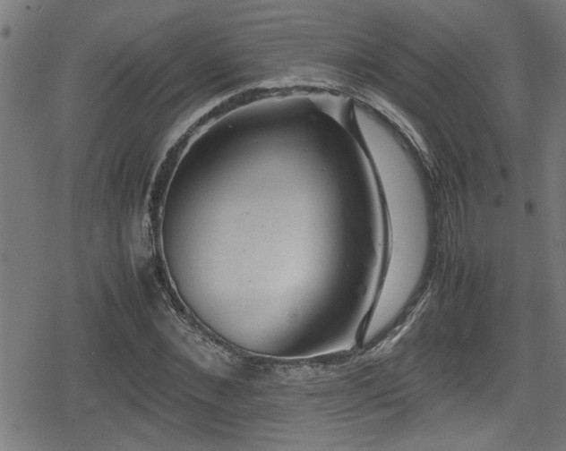 X0000078860876200611131200