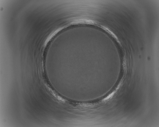 X0000078860877200611131200