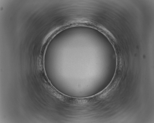 X0000078860878200611131200