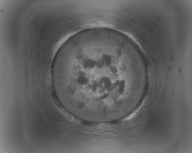 X0000078860879200611131200