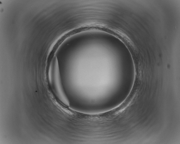 X0000078860880200611131200