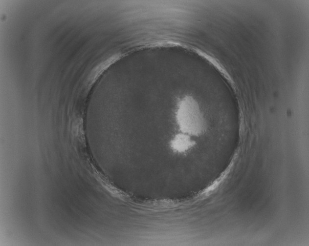 X0000078860881200611131200