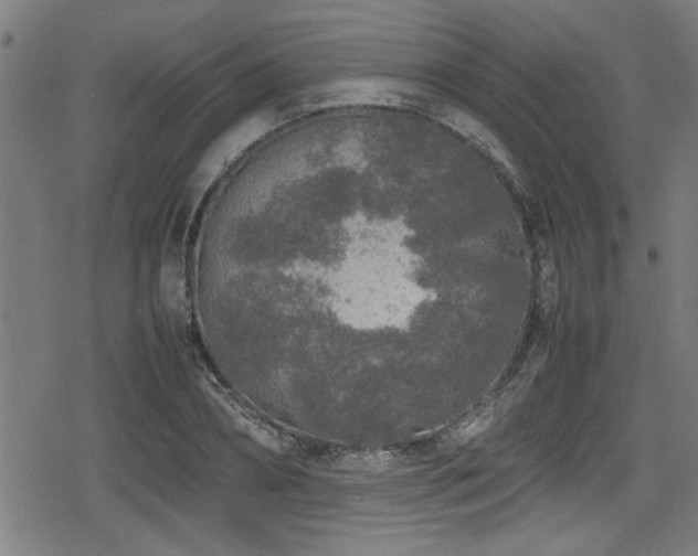 X0000078860882200611131200