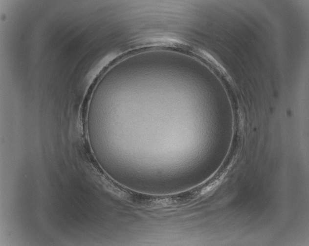 X0000078860883200611131200