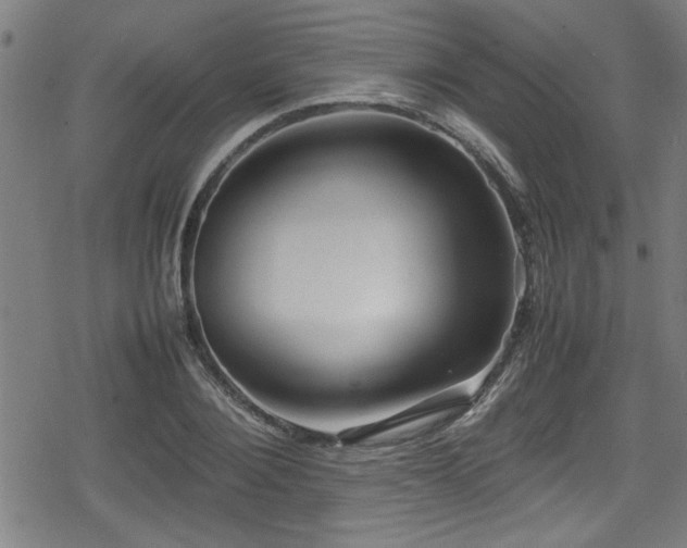 X0000078860884200611131200