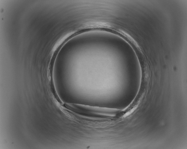 X0000078860885200611131200