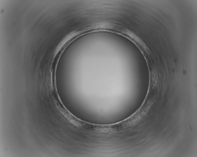 X0000078860886200611131200