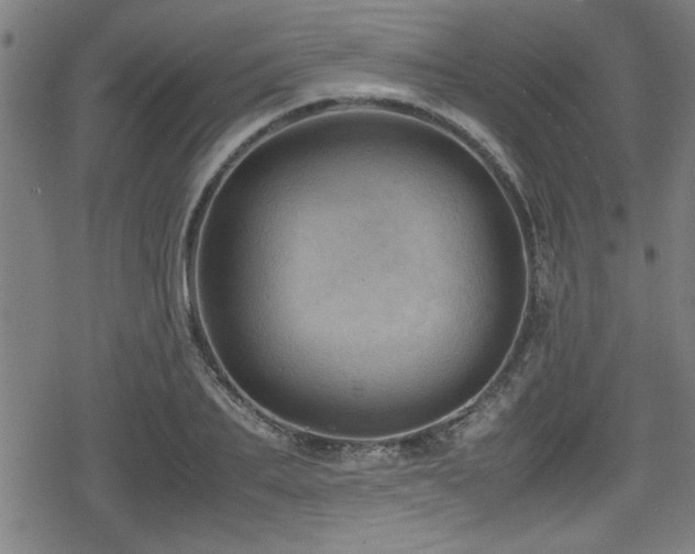 X0000078860887200611131200