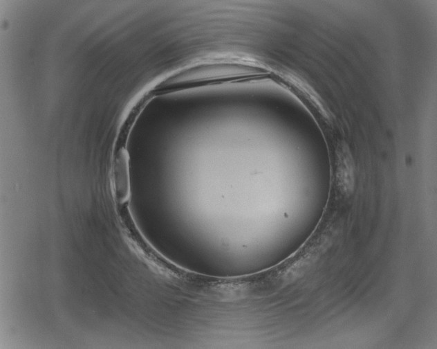 X0000078860888200611131200