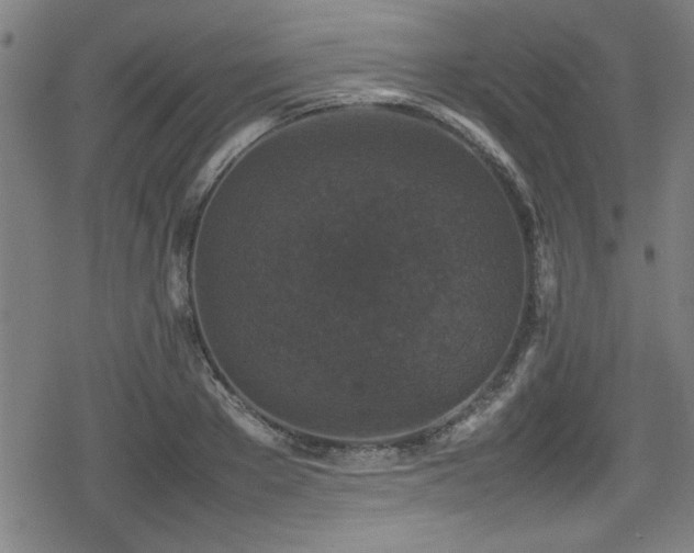 X0000078860889200611131200