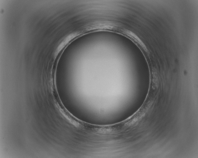 X0000078860890200611131200