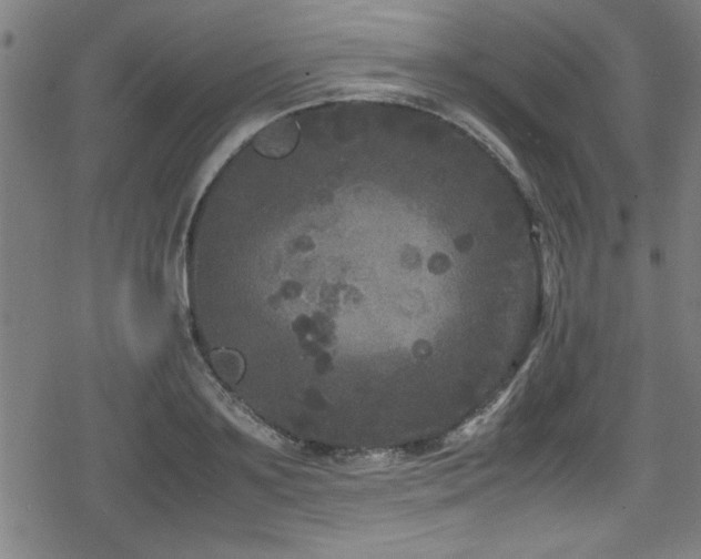 X0000078860891200611131200