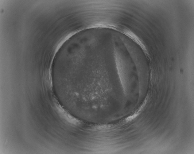 X0000078860892200611131200