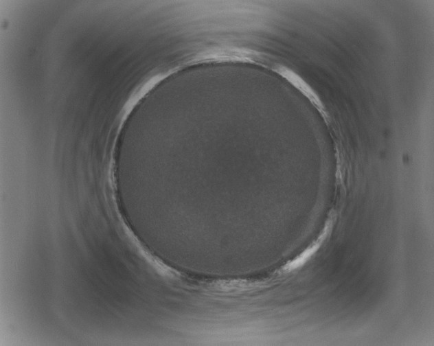 X0000078860893200611131200