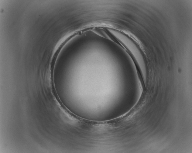 X0000078860894200611131200