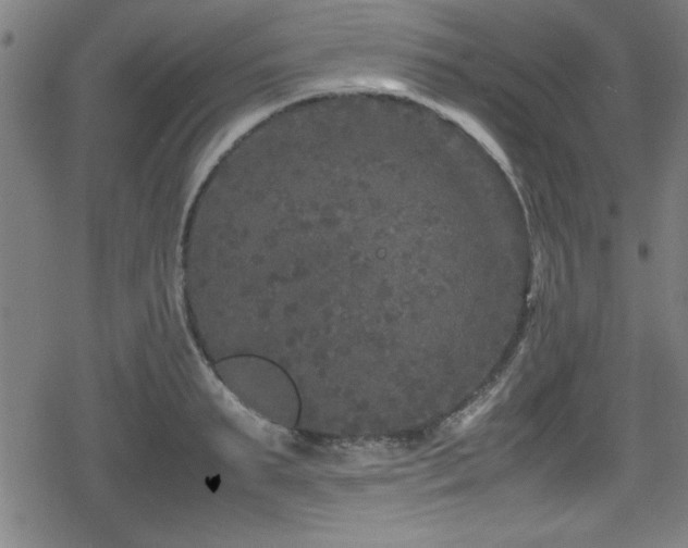 X0000078860895200611131200