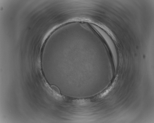 X0000078860896200611131200