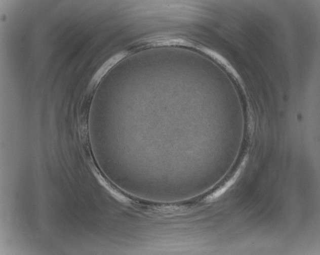 X0000078860897200611131200