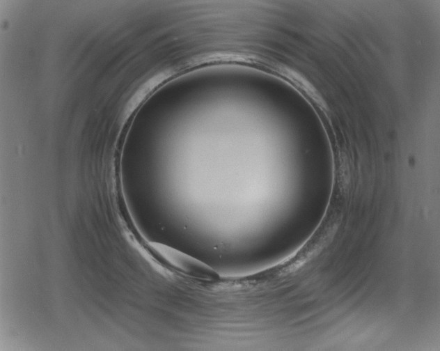 X0000078860898200611131200