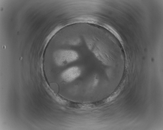 X0000078860899200611131200