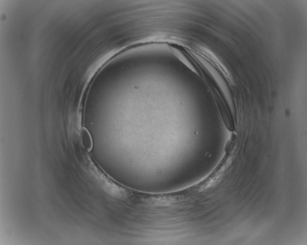 X0000078860900200611131200