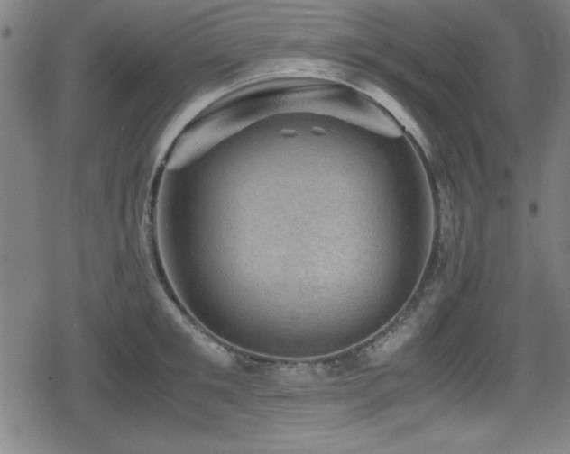 X0000078860901200611131200