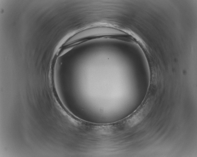 X0000078860902200611131200