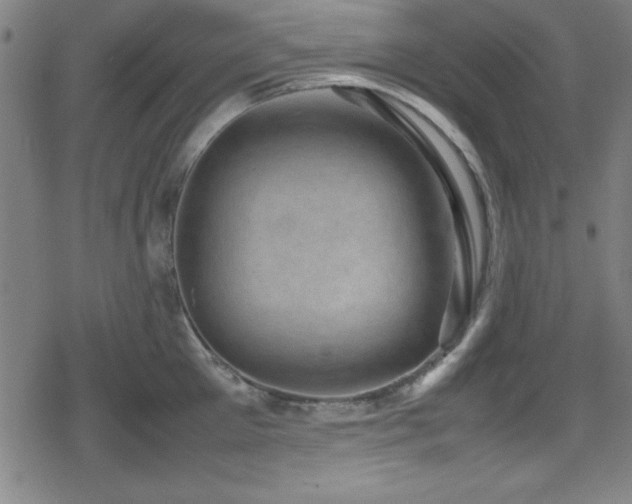 X0000078860905200611131200