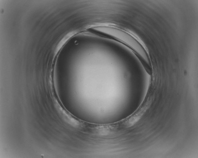 X0000078860906200611131200