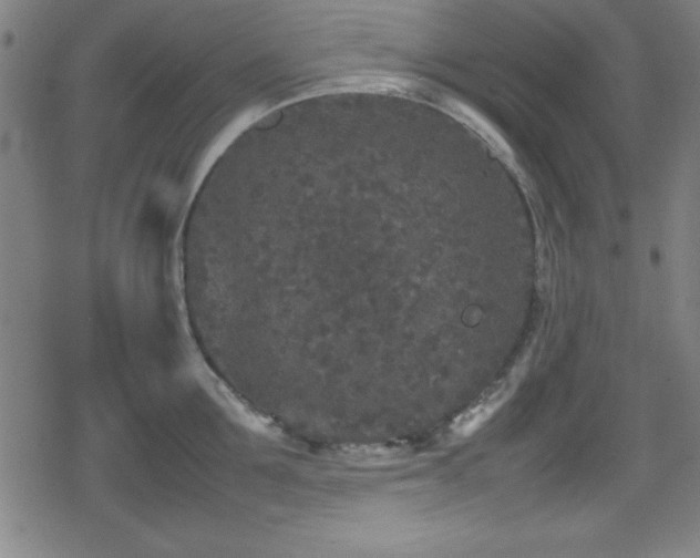 X0000078860907200611131200