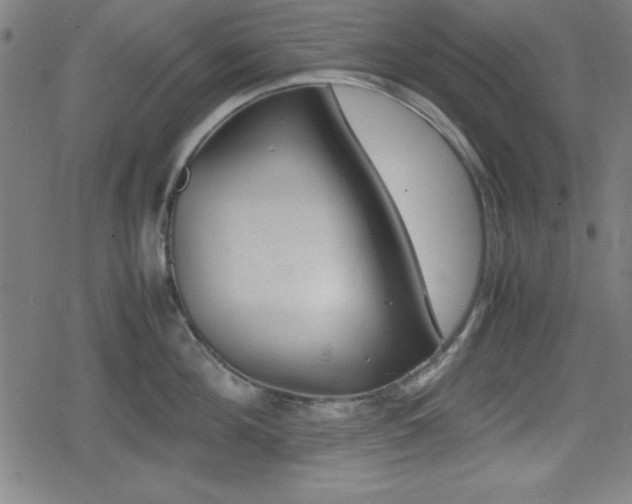 X0000078860908200611131200