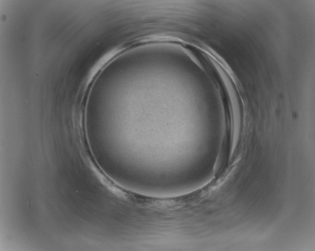 X0000078860909200611131200