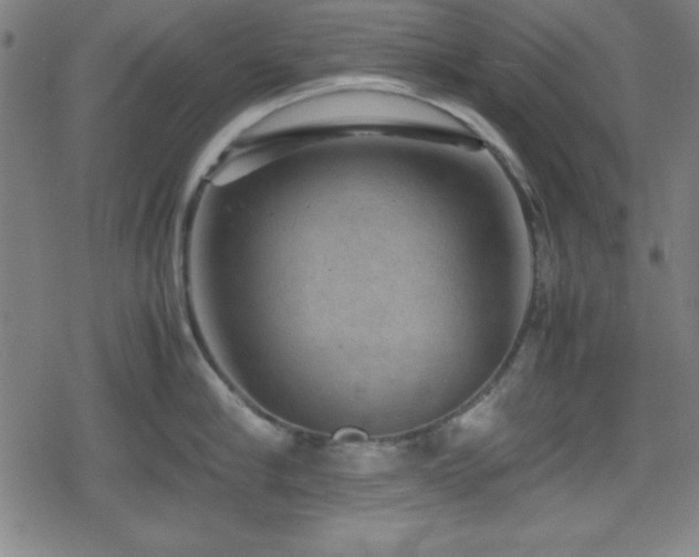 X0000078860910200611131200