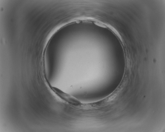 X0000078860911200611131200