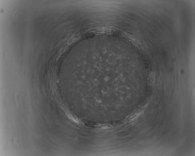 X0000078860913200611131159