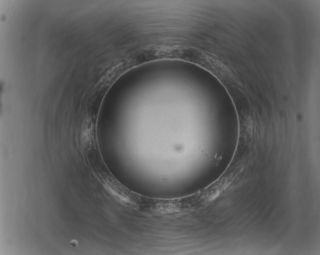 X0000078860914200611131159