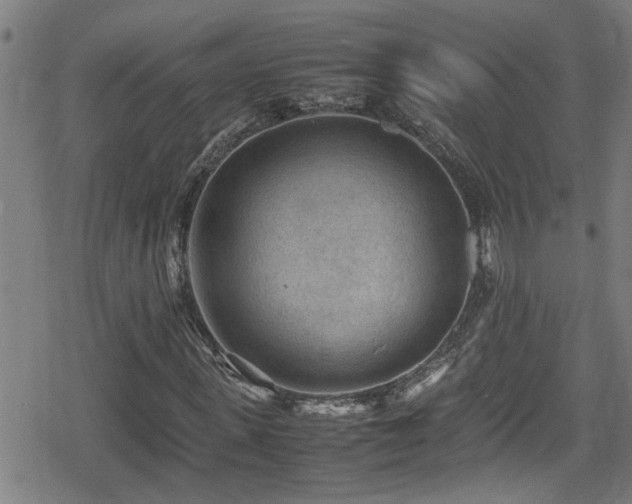 X0000078860915200611131159