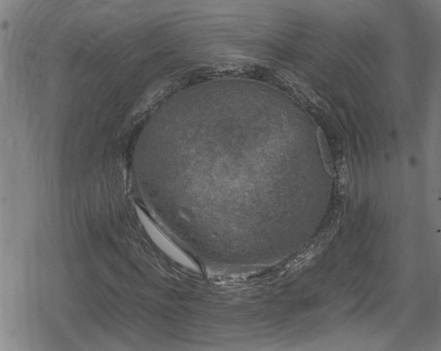 X0000078860916200611131159