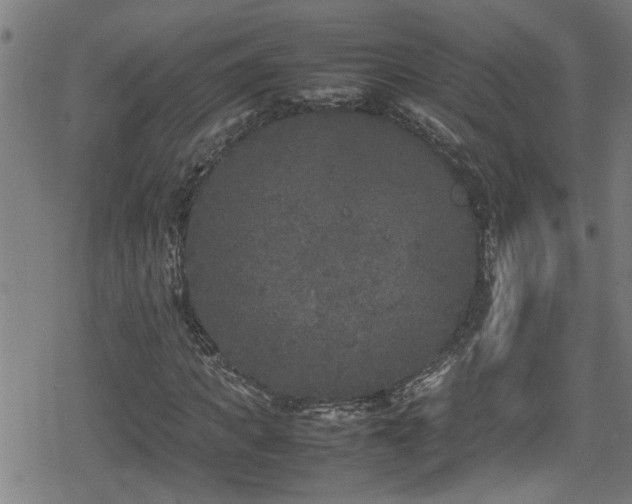 X0000078860917200611131159