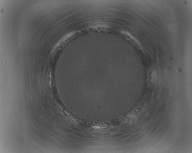 X0000078860919200611131159