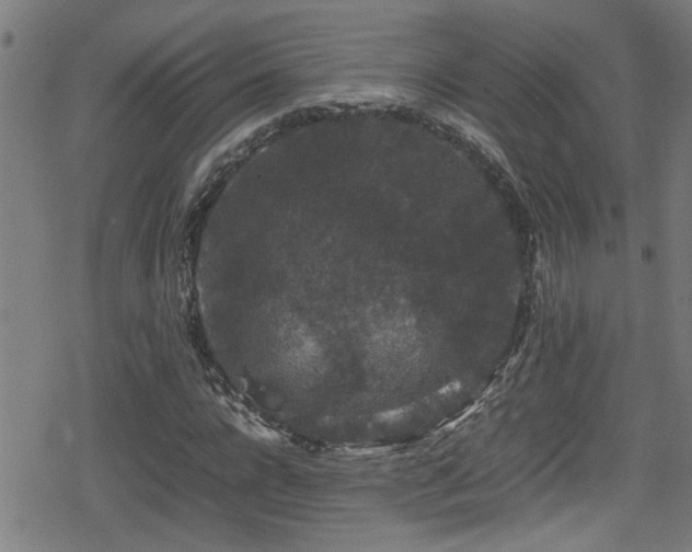 X0000078860920200611131159