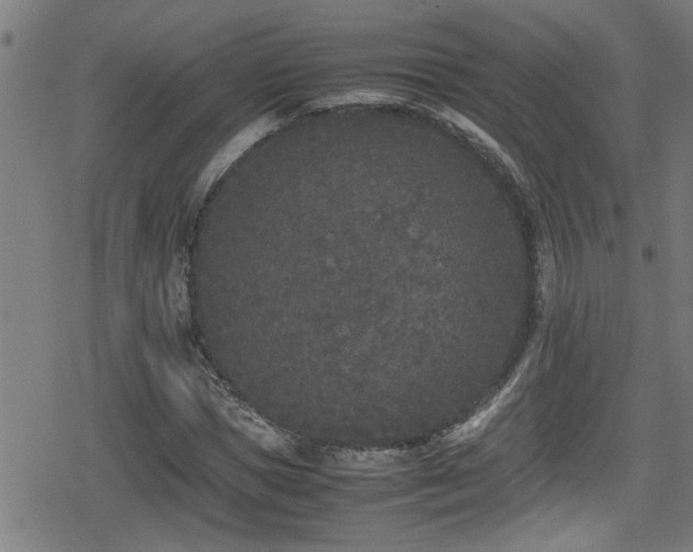 X0000078860921200611131159